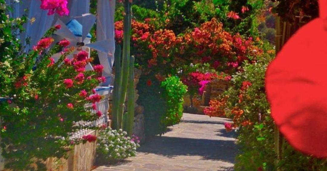 الشقق الفندقية أليندافي  Angelika المظهر الخارجي الصورة